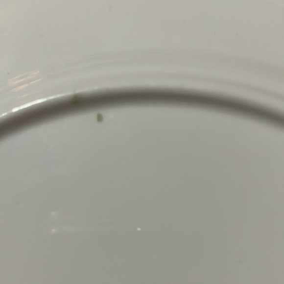 Vintage Salisbury Fine Bone China Floral 8" Plate England - Picture 13 of 15